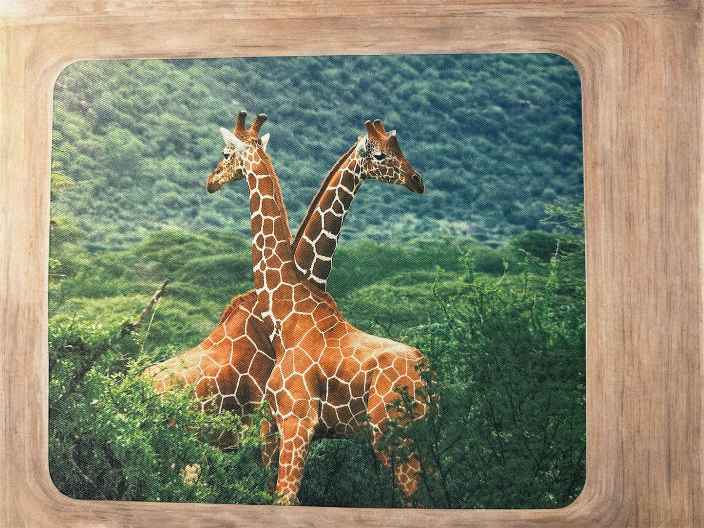 Giraffe Duo Mouse Pad